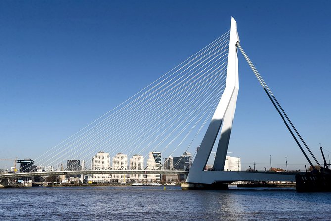 Rotterdam Grand South Holland Private Tour with The Hague & Delft - Rotterdams Architectural Landmarks: Erasmus Bridge and De Rotterdam