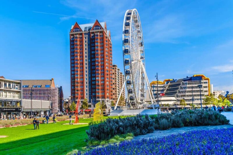 Rotterdam & Haarlem: Private Full-Day Tour from Amsterdam - Strolling Through Haarlems Historic Center