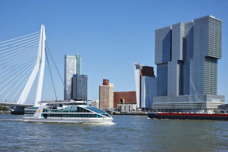 Rotterdam: Harbor Sightseeing Cruise - Deep Dive into the Ports Cargo Handling and Ships