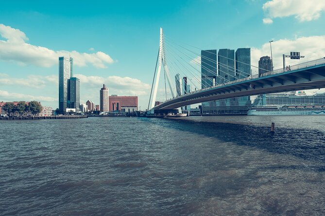 Rotterdam Like a Local: Customized Private Tour - Flexibility and Customization for Your Interests