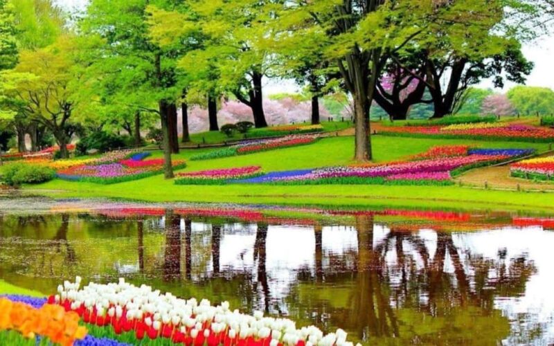 Rotterdam: Private Tour Tulips, Keukenhof, Windmill & Cheese - Who Will Appreciate This Tour?