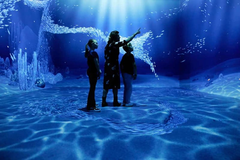 Rotterdam: "Remastered" Digital Art Audiovisual Experience - Key Points