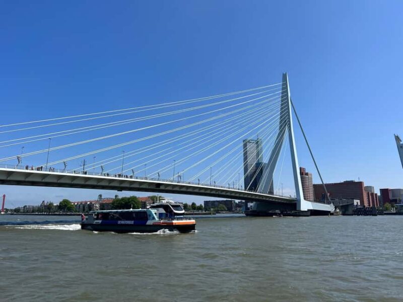 Rotterdam: WaterShuttle Ticket to Kinderdijk - Key Points