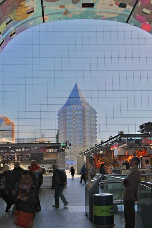 Rotterdam & Zaanse Schans Private Day Trip - Explore Rotterdam’s Architectural and Cultural Scene