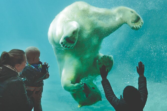 Rotterdam Zoo Diergaarde Blijdorp Direct Entrance Ticket - Key Points