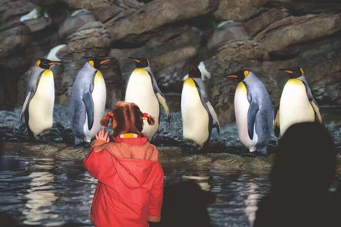 Rotterdam Zoo Diergaarde Blijdorp Direct Entrance Ticket - Animal Encounters and Habitat Diversity