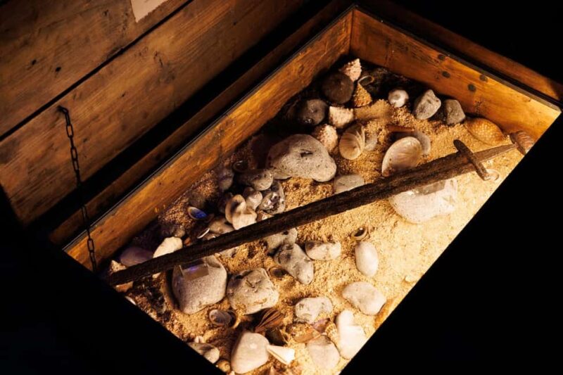 Rouen : Museum Immersive Viking Experience - The Use of Cutting-Edge Technology