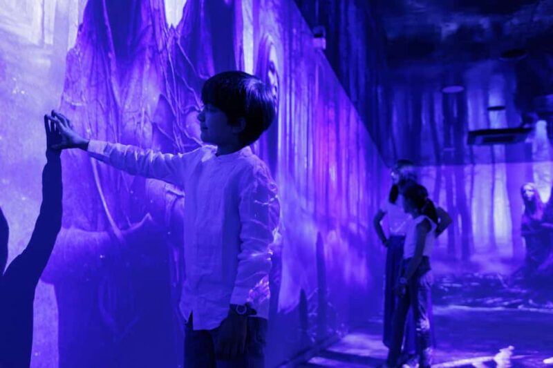 Rouen : Museum Immersive Viking Experience - The Strengths and Limitations of the Viking Experience