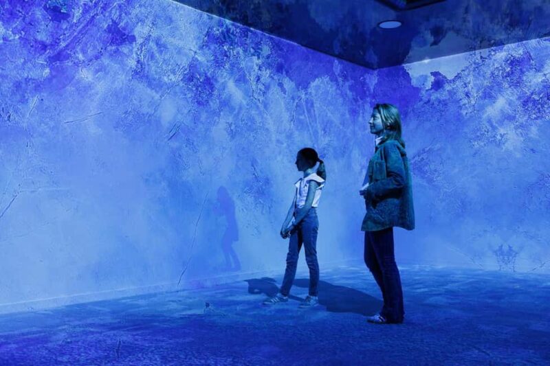 Rouen : Museum Immersive Viking Experience - The Sum Up: A Visual Voyage into Viking Normandy