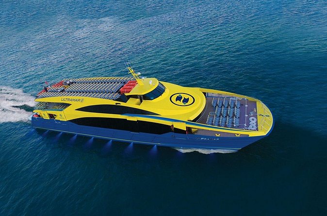 Round Ferry Transfer from Tortugas to Isla Mujeres - User Feedback Highlights and Practical Considerations