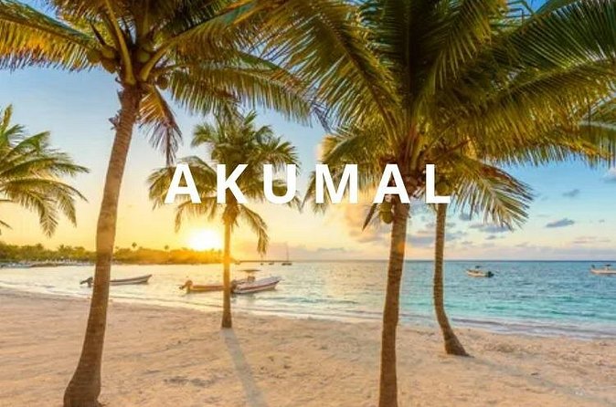 Round private transfer Airport- Akumal - Airport. - Booking and Cancellation Policies for Flexibility