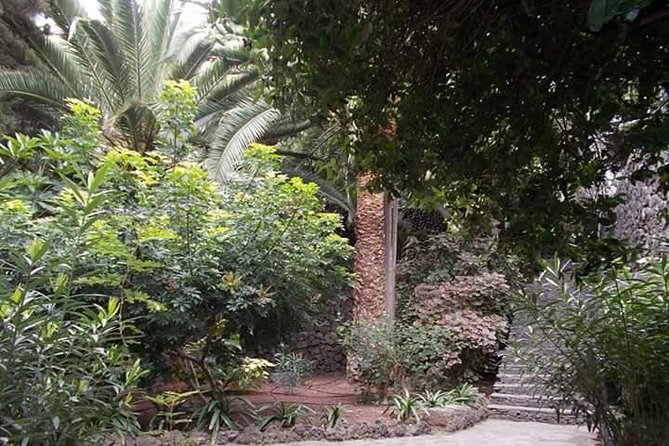 Round The Island Trip Without Teide VIP TOUR - Additional Benefits and Practical Tips