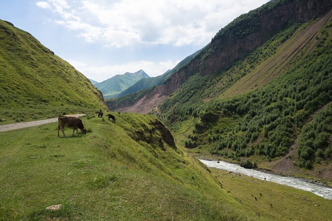 Round-Trip Bus Transfer to Truso Valley from Kazbegi - Punctuality and Organization