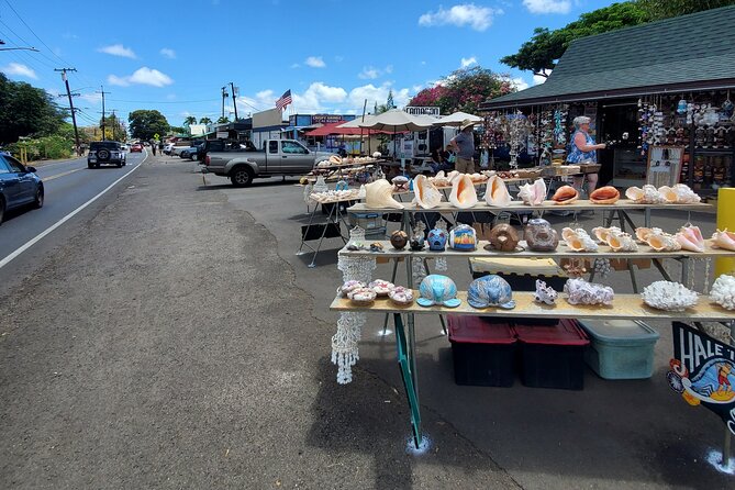 Round Trip North Shore Shuttle from Waikiki to Haleiwa Town / Haleiwa Harbor - Round-Trip Convenience and Timing Options