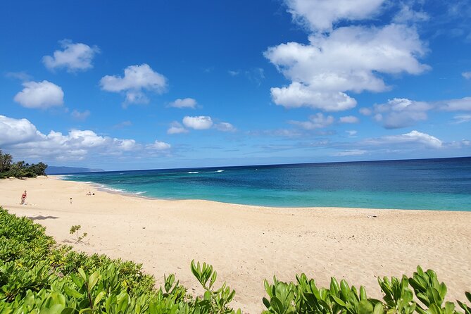 Round Trip North Shore Shuttle from Waikiki to Haleiwa Town / Haleiwa Harbor - Guide and Experience Quality