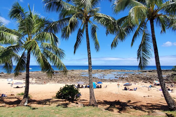 Round Trip North Shore Shuttle from Waikiki to Haleiwa Town / Haleiwa Harbor - Physical Requirements and Accessibility