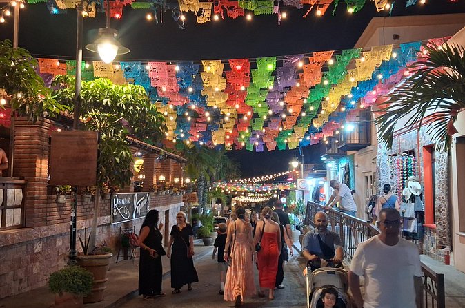 Round Trip Private Trip Los Cabos-San Jose Cabo Airport - Flexible Booking and Service Hours