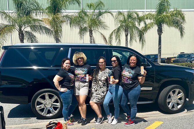 Roundtrip/Oneway Transfer: Orlando Intl Airport to Disney Hotels - Who Should Consider This Transfer?