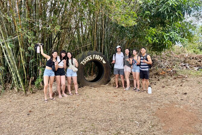 Roundtrip Shuttle From Waikiki to Dole Plantation & Haleiwa Town - The North Shore Macadamia Nut Company Stop