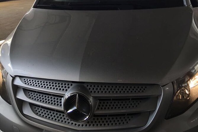 Roundtrip Transfer from Naples to Pompeii and Return - Stop at Pompeii Archaeological Park