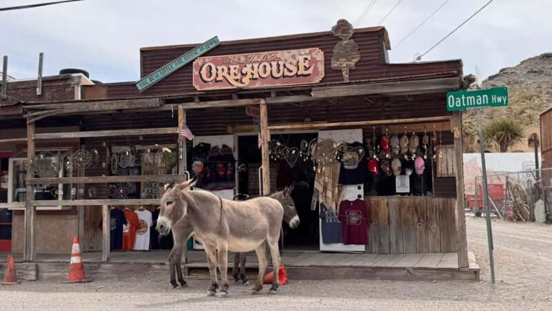 Route 66 Day Tour from Las Vegas: Oatman, Nelson & Kingman - Scenic Drive Along Route 66: Desert and Mountain Views