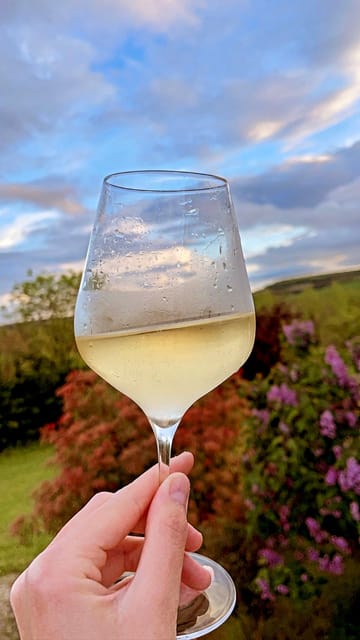 Route du Champagne: Food and wine tour - Discover the Champagne Route Through Gastronomy and Wine Tasting