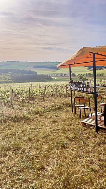 Route du Champagne: Food and wine tour - Logistics and Group Experience