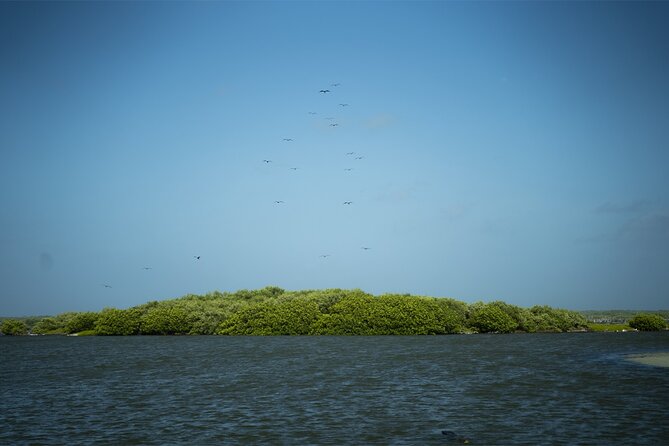 Route of Adventure: Punta Sur Park and Clear Boat Cozumel - Off-Road Driving Through Cozumel’s Wilderness