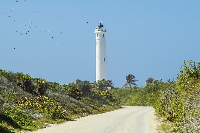 Route of Adventure: Punta Sur Park and Clear Boat Cozumel - Authentic Mexican Tequila and Dune Fun