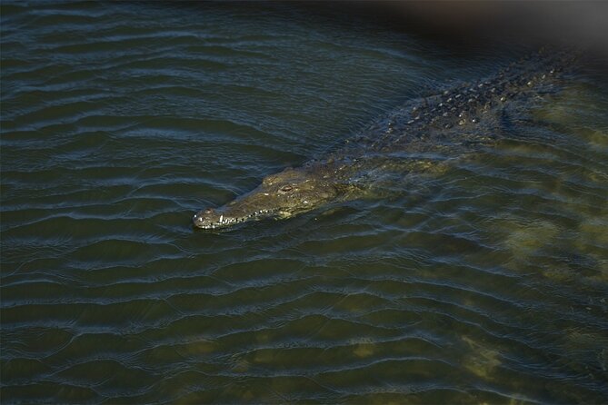Route of Adventure: Punta Sur Park and Clear Boat Cozumel - Relaxing Beach Time at Playa Uvas