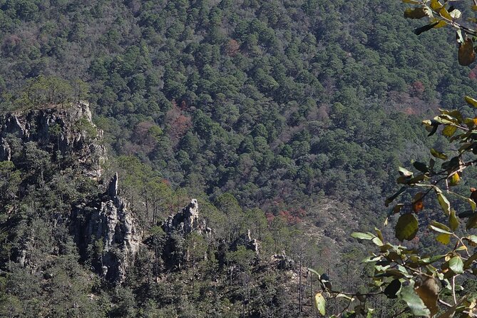 Route to the Peñas Cuatas Science Forest and Adventure - Discover the Peñas Cuatas Science Forest and Adventure for $42.41