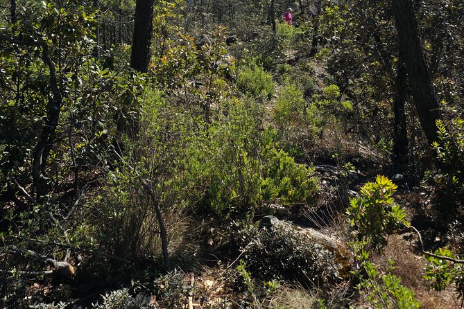 Route to the Peñas Cuatas Science Forest and Adventure - Key Points