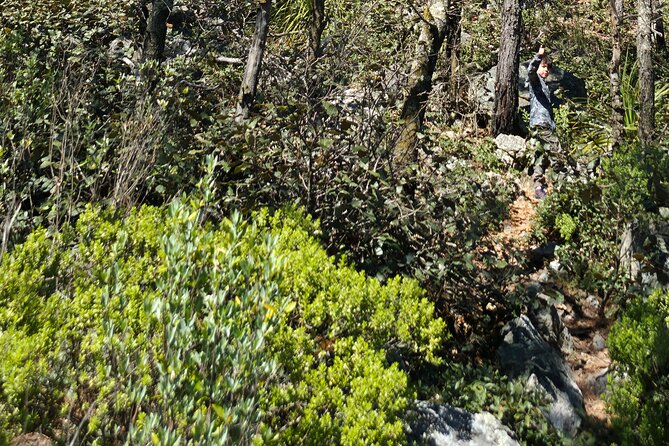 Route to the Peñas Cuatas Science Forest and Adventure - Scenic Car Transfer to "The Aviadero"