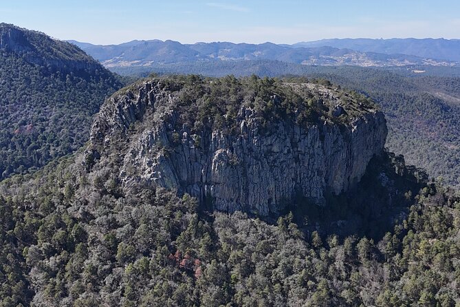 Route to the Peñas Cuatas Science Forest and Adventure - Trail through Native Vegetation to the Climbing Spot