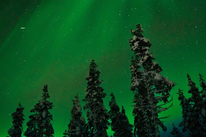 Rovaniemi 2 days Activities Package - Northern Lights Hunt: An Evening Spectacle