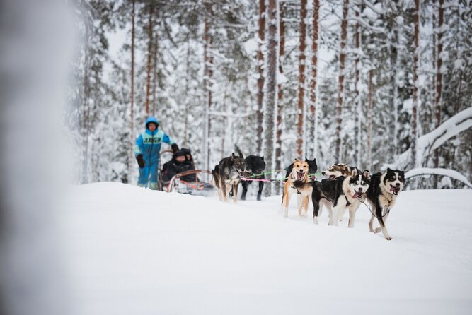 Rovaniemi 2 days Activities Package - Practical Details and Group Size