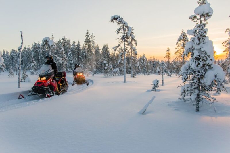 Rovaniemi: 2-Hour Snowmobiling Experience - Customer Service and Guides Expertise