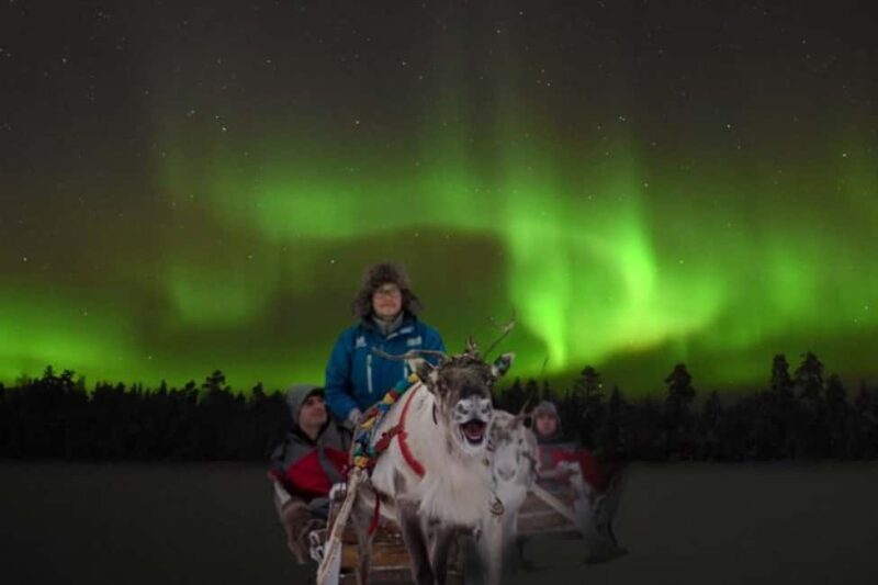 Rovaniemi: 2km Aurora Reindeer Safari Through the Forest - Starting Point and Pickup Details in Rovaniemi