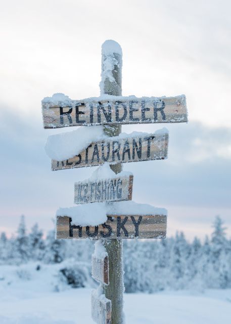 Rovaniemi: 2km Reindeer Sled Ride Through the Forest - Meeting and Feeding Reindeer Up Close
