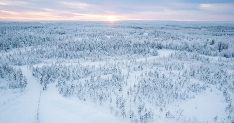 Rovaniemi: 2km Reindeer Sled Ride Through the Forest - Pricing, Cancellation, and Booking Flexibility