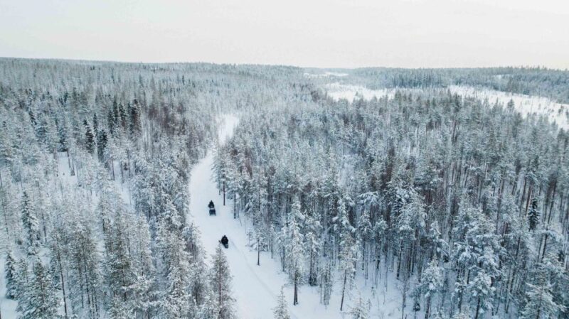 Rovaniemi: 3-Hour Snowmobile Safari in Lapland - Rovaniemi: 3-Hour Snowmobile Safari in Lapland