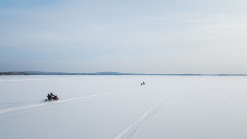 Rovaniemi: 3-Hour Snowmobile Safari in Lapland - Key Points