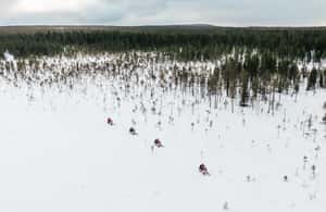 Rovaniemi: 3h Electric Snowmobile Safari at Reindeer Farm - Campfire Experience with Sausages and Hot Drinks