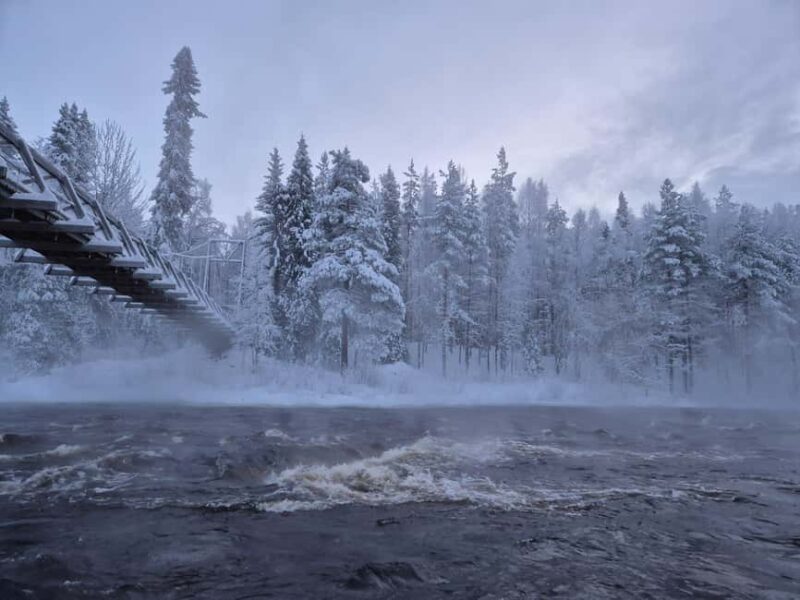 Rovaniemi: 5 Attractions of the Arctic Circle  Easy Hiking - From Rovaniemi to the Arctic Circle Hiking Area