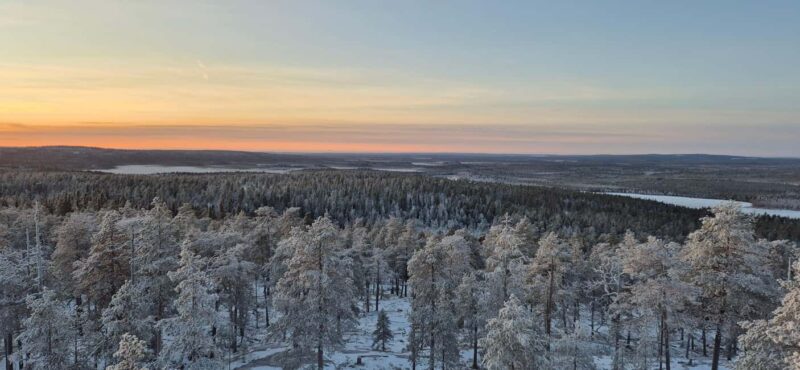 Rovaniemi: 5 Attractions of the Arctic Circle  Easy Hiking - Descending Through Snowy Pines and Fire Skills
