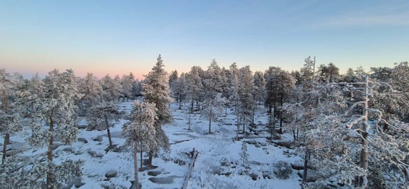 Rovaniemi: 5 Attractions of the Arctic Circle  Easy Hiking - Suitable for Who and What to Expect