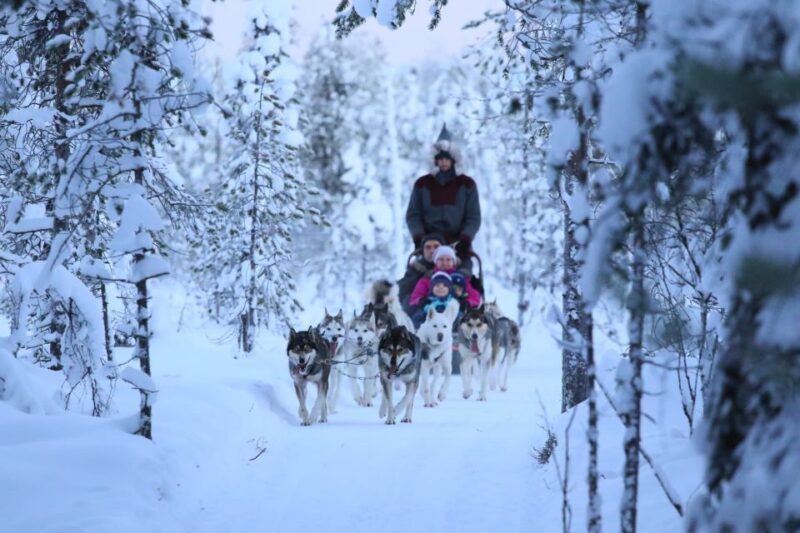 Rovaniemi: 7km Self-Drive Husky Sleigh Ride Adventure - Additional Equipment and Optional Extras