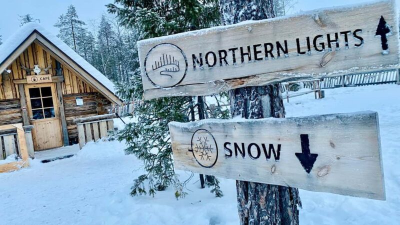 Rovaniemi: A Day Ticket to Kotatieva - The Unique Ice Skating Track in Lapland’s Forest