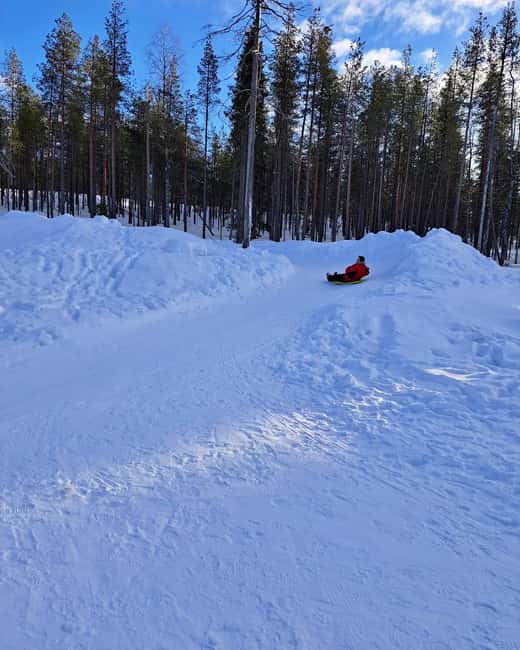 Rovaniemi: A Day Ticket to Kotatieva - What to Bring and Restrictions