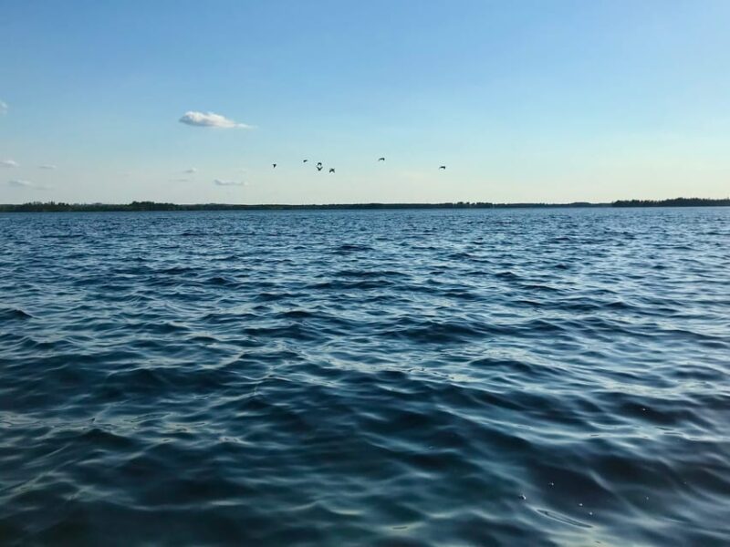 Rovaniemi: All-Day Canoe Adventure - The Finnish Snack and Fire-Building Experience